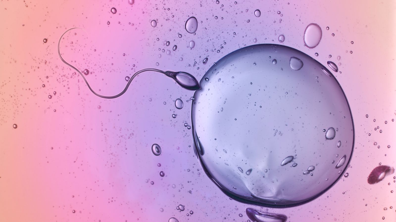 Male Masturbation: A Natural Boost for Reproduction and Health, Study Reveals