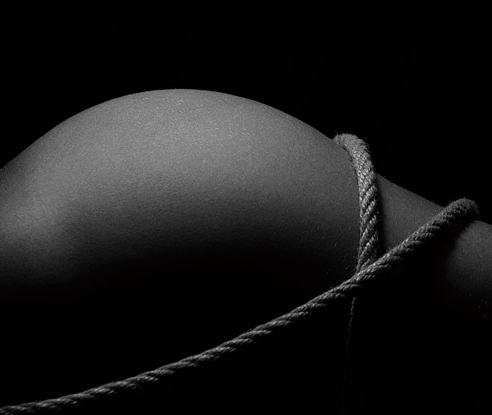 BDSM biology research — abstract study of rope against a human form, face not shown