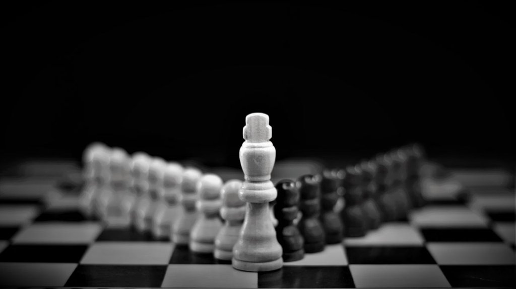 مهرهٔ شاه سفید در صفحهٔ شطرنج؛ استاندارد بالا و راهبرد در رهبری